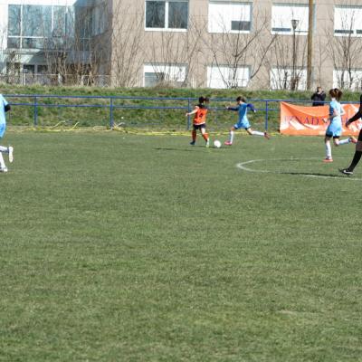 Img 9585